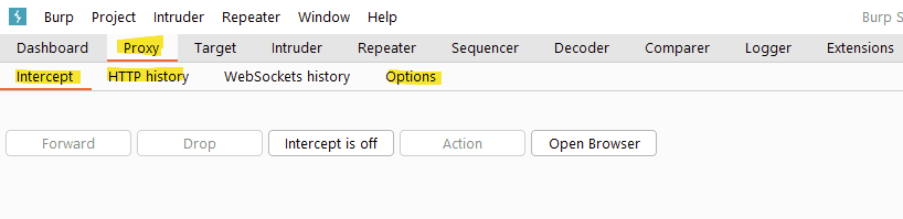 Visuel Burp Suite