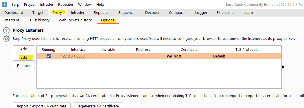 Visuel Burp Suite
