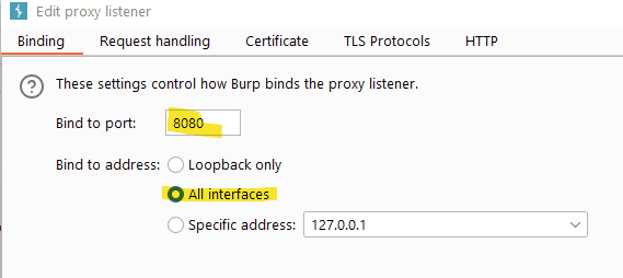 Visuel Burp Suite