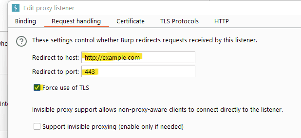Visuel Burp Suite
