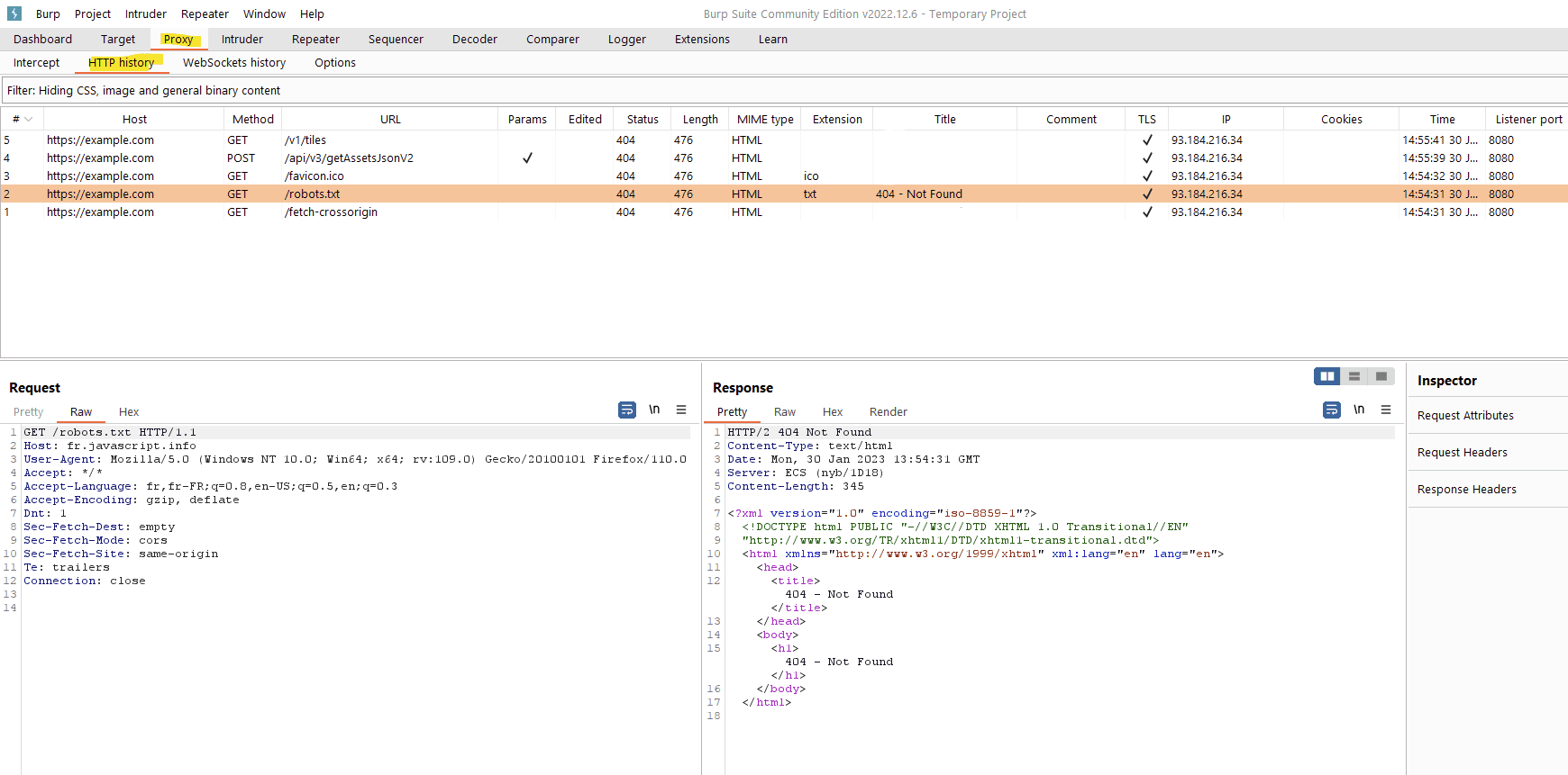 Visuel Burp Suite