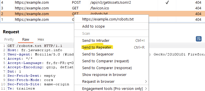 Visuel Burp Suite